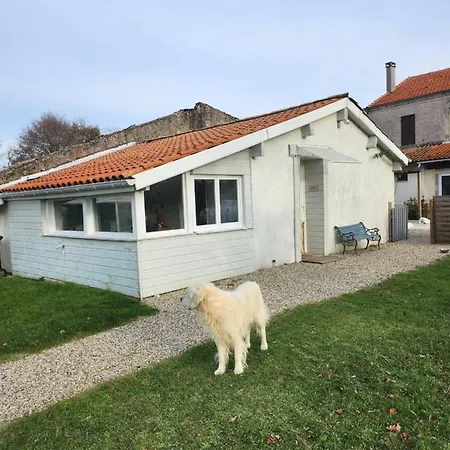 Des Pins * Saint-Vivien-de-Médoc