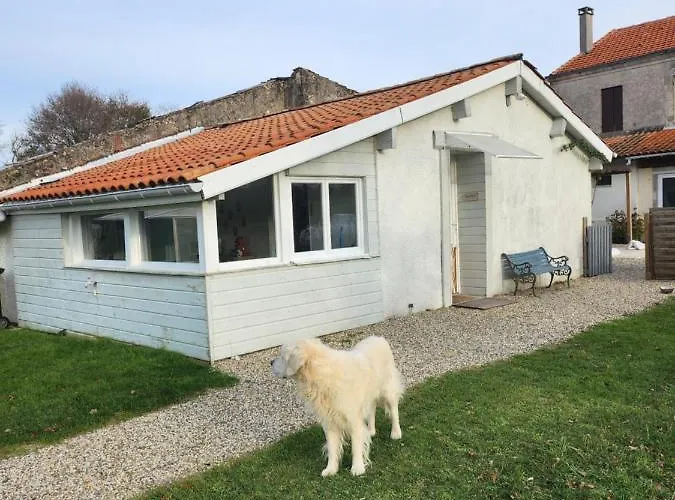 Des Pins * Saint-Vivien-de-Médoc